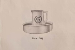 Bug - 058-bug