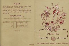 VB Cologne - phenix