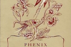 VB Cologne - phenix