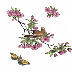 1_D.8-uitzoeken-2