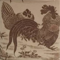 1_16832125_10155095904864235_4776076482078823737_n