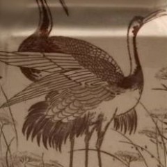 1_16938490_10155095904884235_2815075706635875596_n