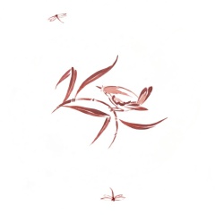 c0c9a45e-dc8e-4450-83b2-2e1437c6b4ec