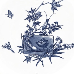 Buisson-2