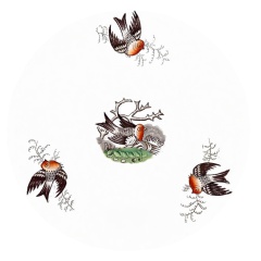 Colibri-3
