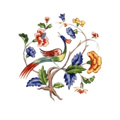 Colibri-4