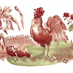 Coq