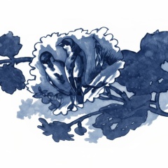 Henriette-2