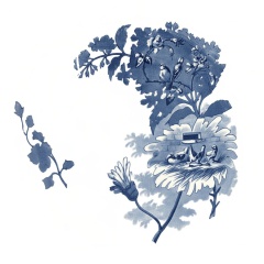 Henriette