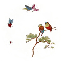 Oiseau-Mouche-Kioto